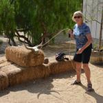TourdSoCal_1_0226 (September 11, 2015)